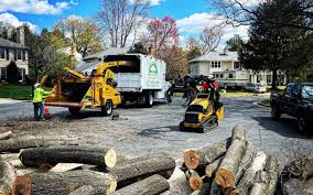 Best Emergency Tree Removal  in Redland, TX